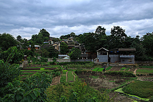 thống kê xổ số bình dương