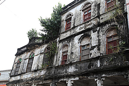 cau lô