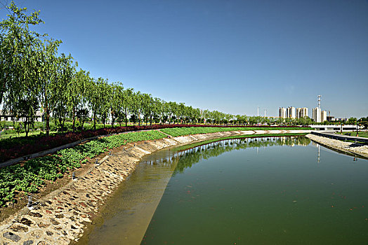 cầu lô bạch thủ miền bắc